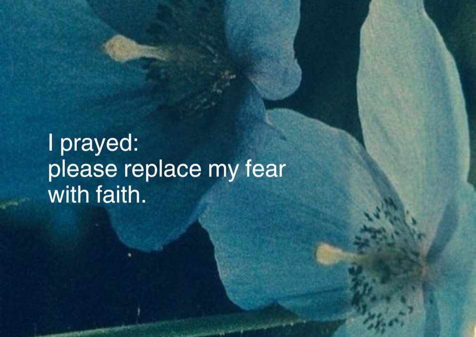 A blue flower image with the words: I prayed, please replace my fear with faith.